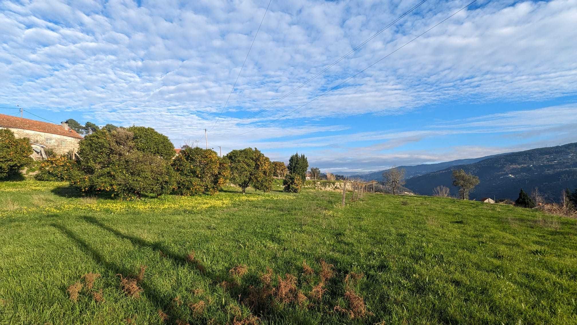 Terreno em São Lourenço do Douro para construção e vista rio.