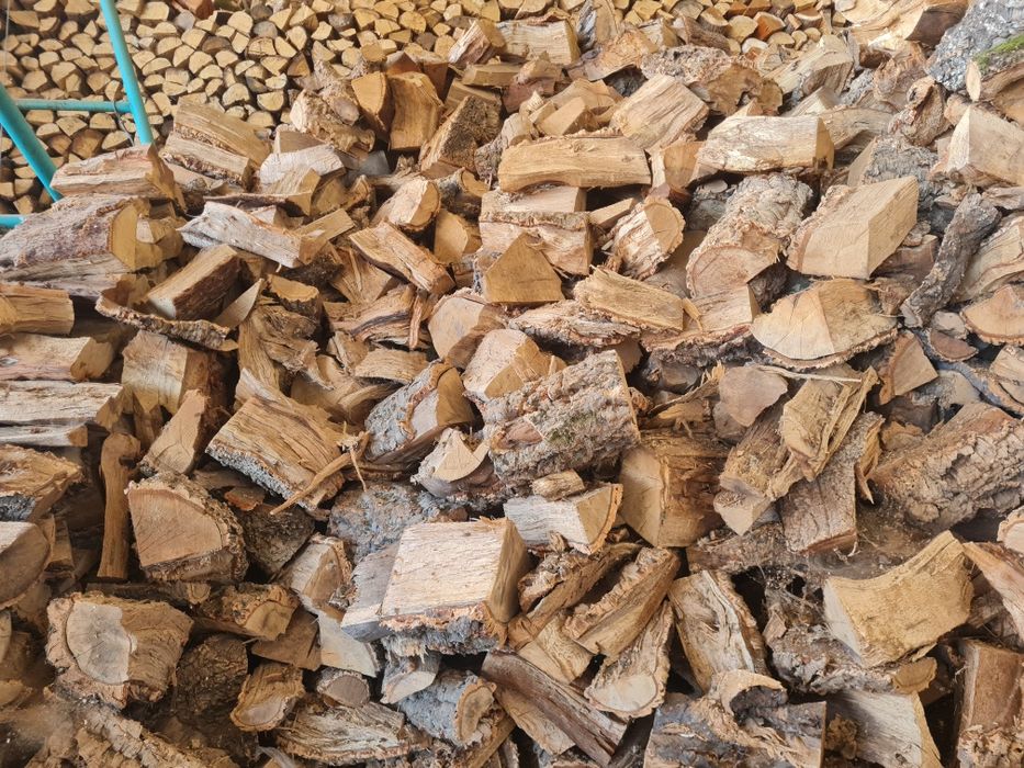 Lenha seca qualidade