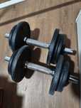 Par de Halteres de 10kg
