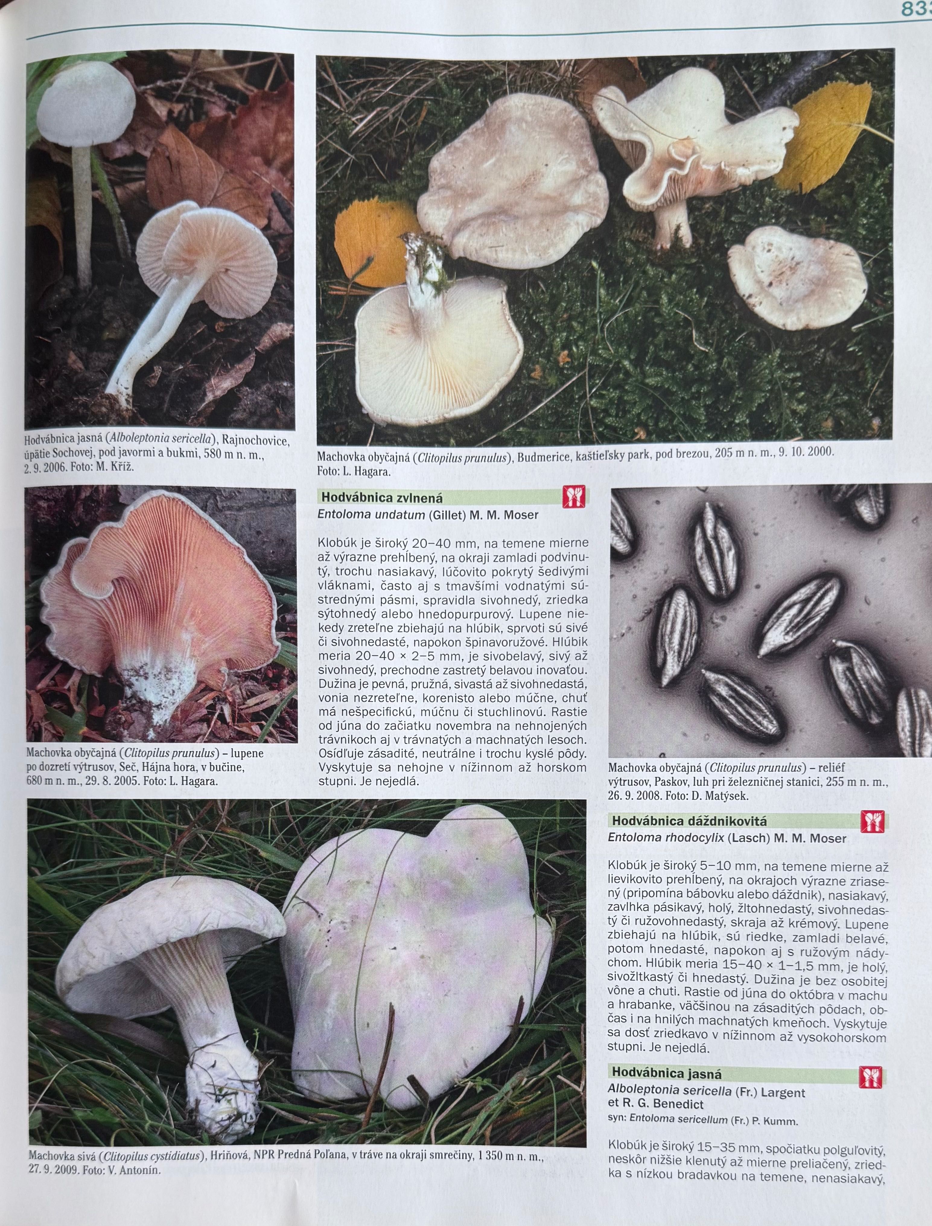 Atlas grzybów, Ottova encyklopedia Hub, Ladislav Hagara, 3230 gatunków