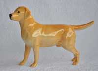 figurka pies labrador porcelana Beswick