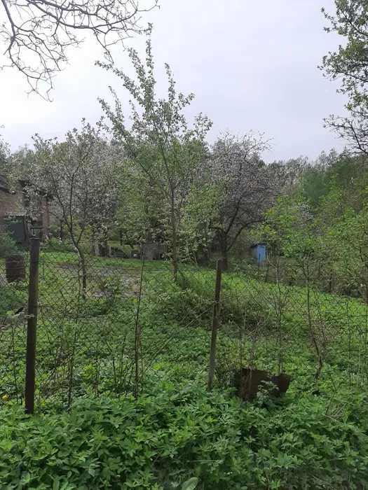Продаж земельної ділянки з будинком с. Збиранка,