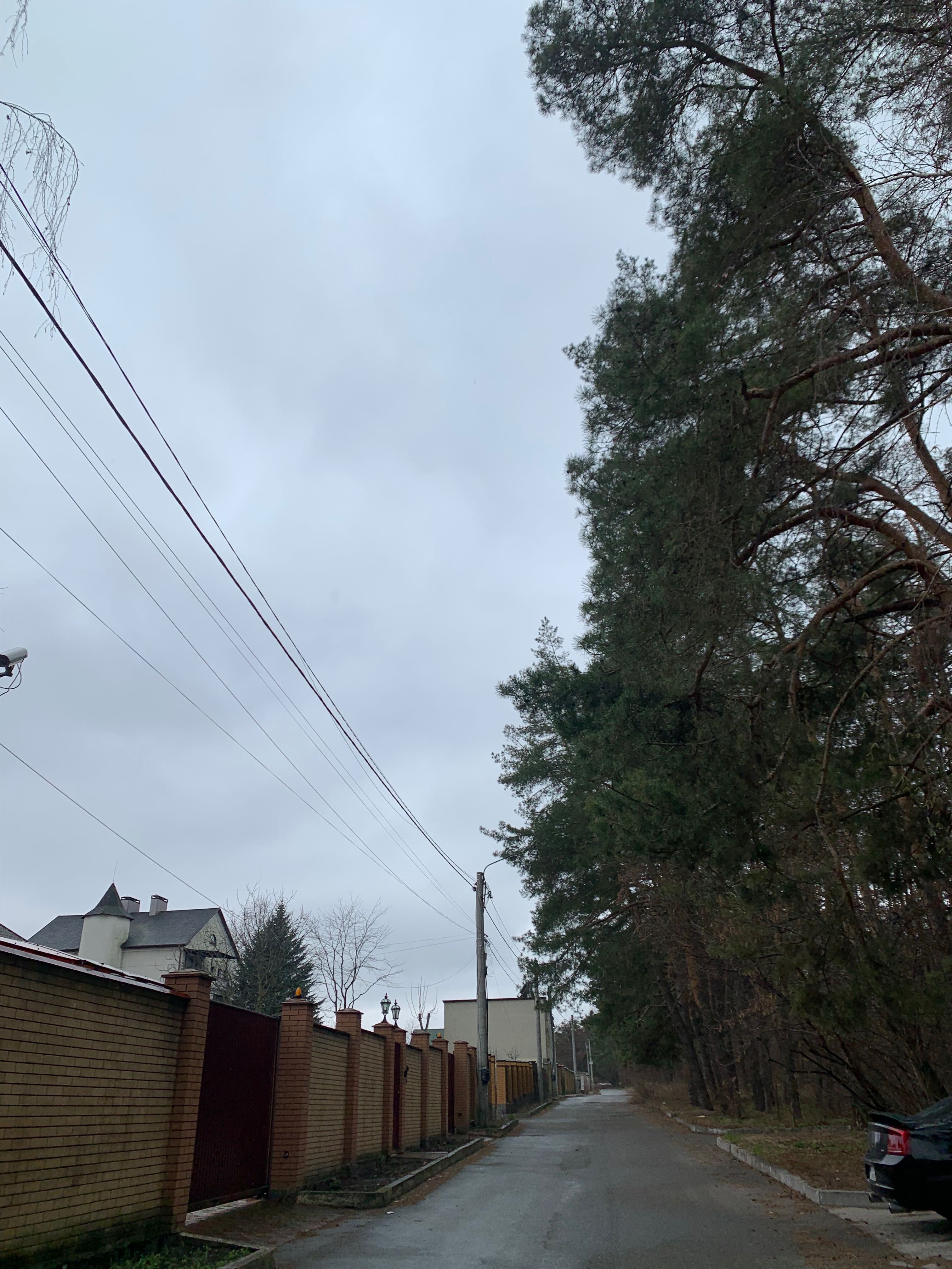 Продам  ділянку біля лісу   Петропавлівська Борщагівка