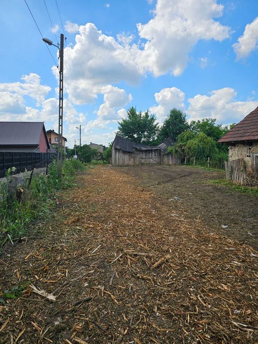 Oczyszczanie działek, mulczowanie, mulczer wgłębny, mulczer leśny.