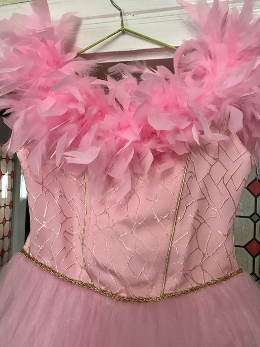 Сукня принцеси