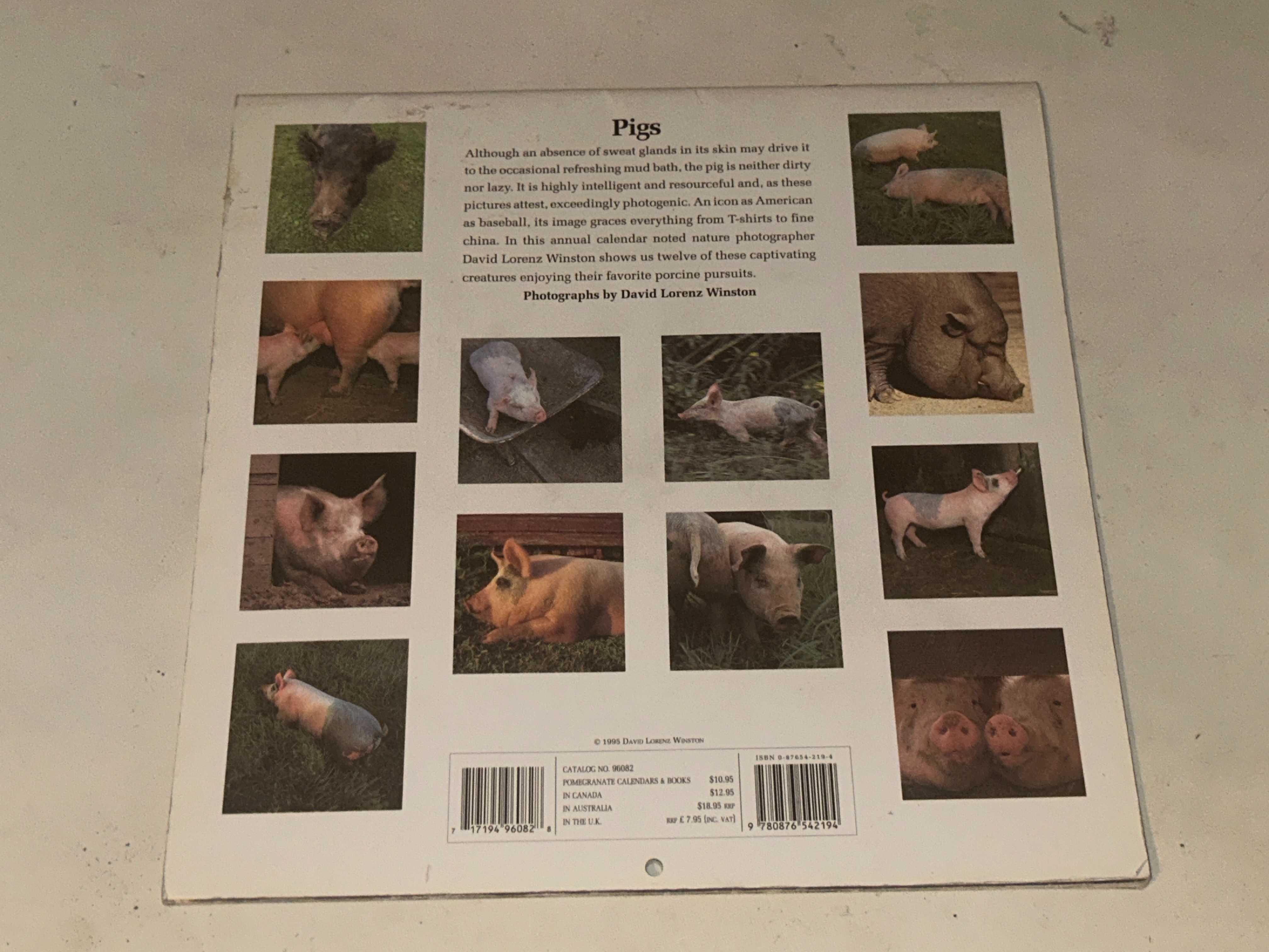 Kalendarz PIGS - 1996r. - zdjęcia D.L.Winston