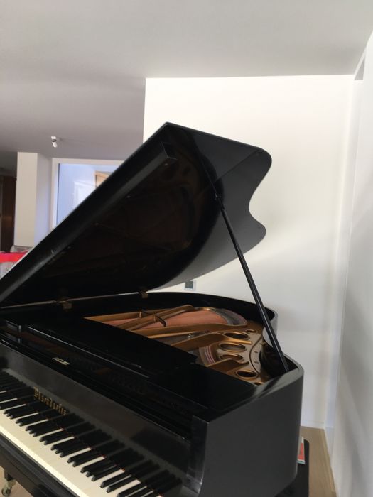 Piano 1/4 cauda Bosendorfer