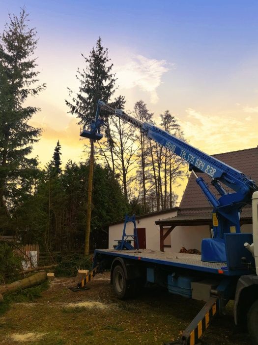 Wycinka i pielęgnacja drzew. Czyszczenie działek. Koszenie