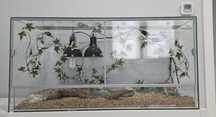Terrarium z wyposażeniem 100x40x50
