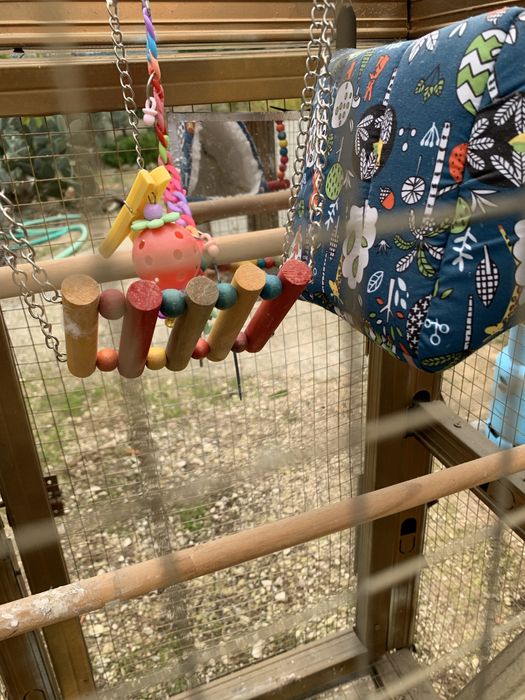 Gaiola passaro grande