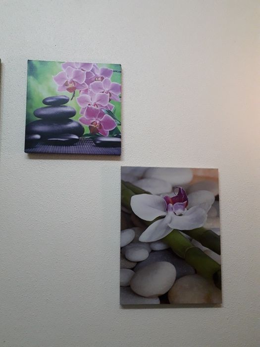 Conjunto de 5 quadros