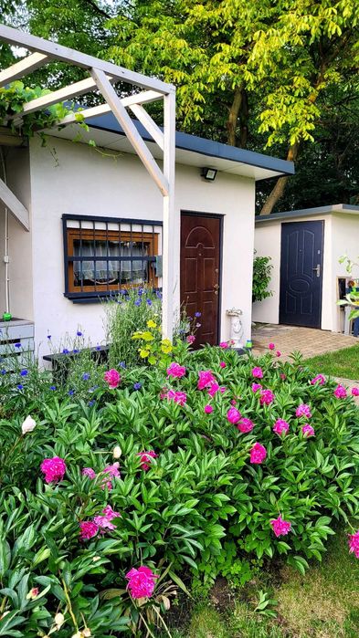 Działka ROD „SŁONECZNE WZGÓRZE” Katowice , Bogucice , ul. Osikowa