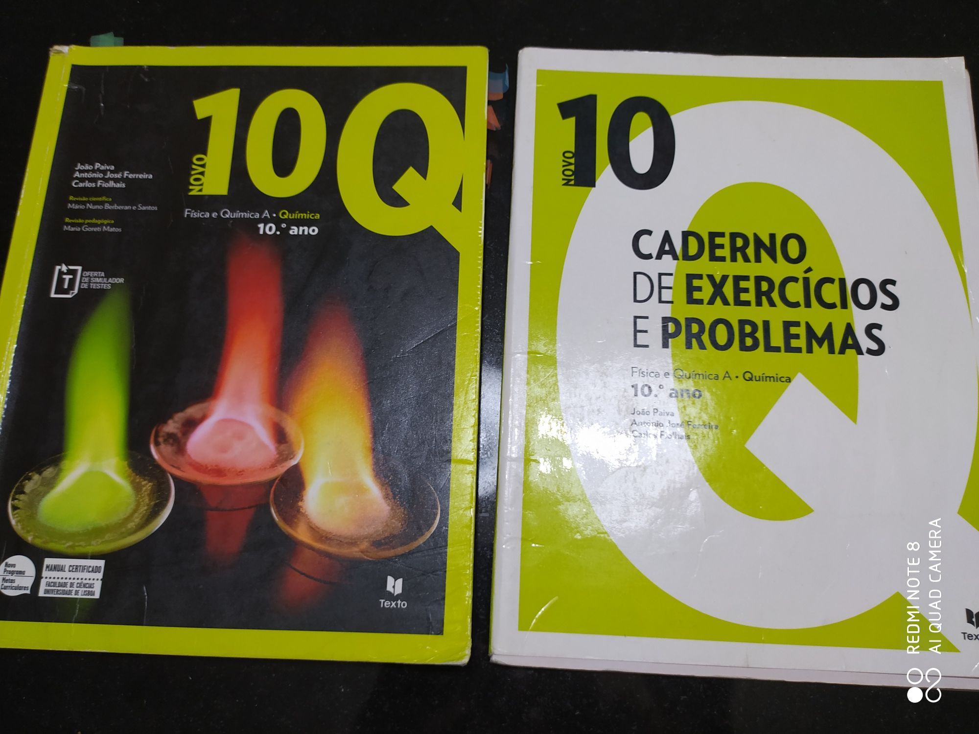 Manuais a cadernos atividades 10 ano