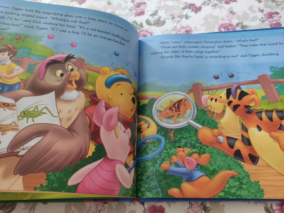 Winnie the Pooh The Big Bug Hunt Disney po angielsku