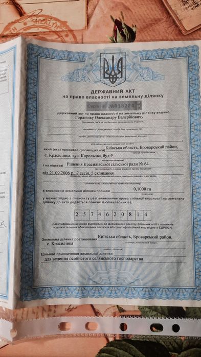 Земельна ділянка площею 10 соток