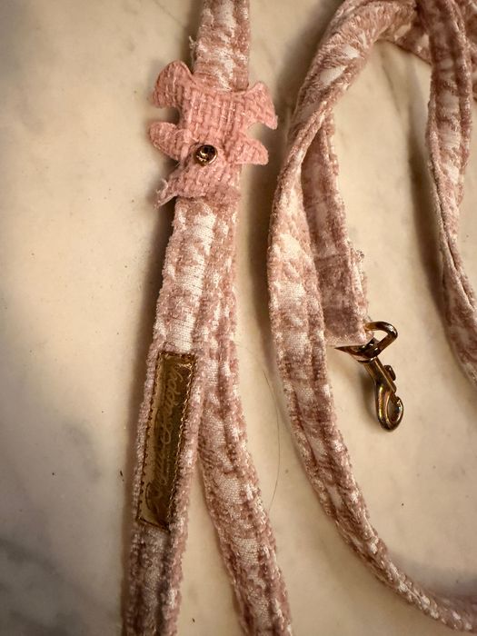 Royal Puppy Ferline szelki bezuciskowe M + smycz