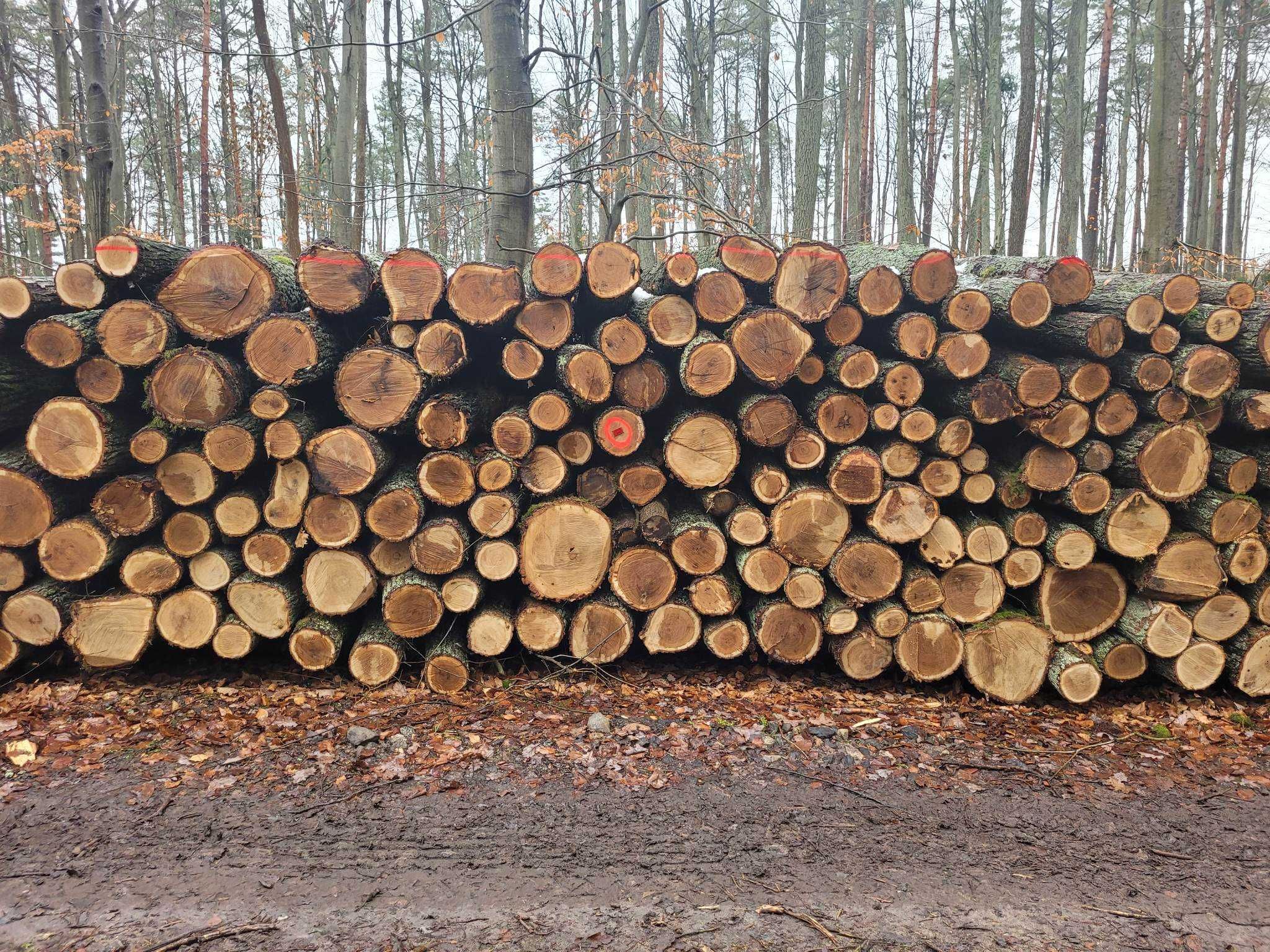 Drewno opałowe, kominkowe, wałki, transport gratis