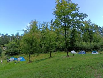 Pole namiotowe na Kaszubach nad jeziorem Mausz.
