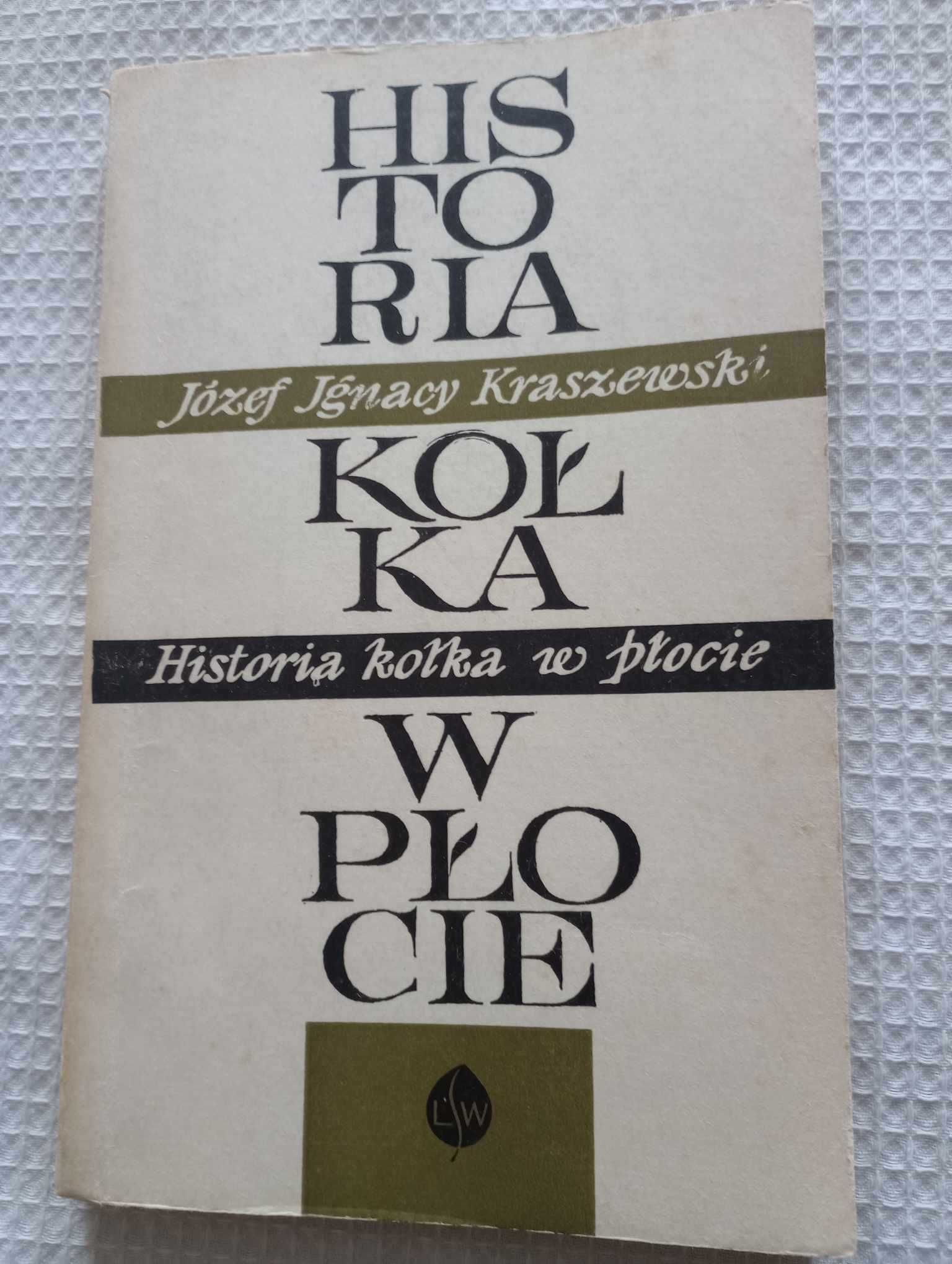 Historia kółka w płocie. J.I. Kraszewski