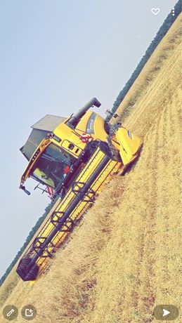 Koszenie Zbóż Rzepaku Kukurydzy Usługi Rolnicze