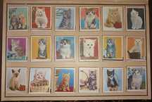 Coleção carteiras de fósforos GATOS