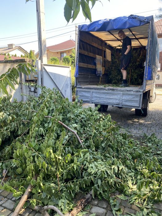 Вывоз веток , хлама , чистка квартир , обрезка деревьев, демонтаж .