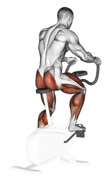 Rower stacjonarny Magnetyczny Nowy