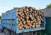 Дрова ДУБОВІ! Безкоштовна доставка. Обухів. 3/5/7/10/14.5 Ск/м