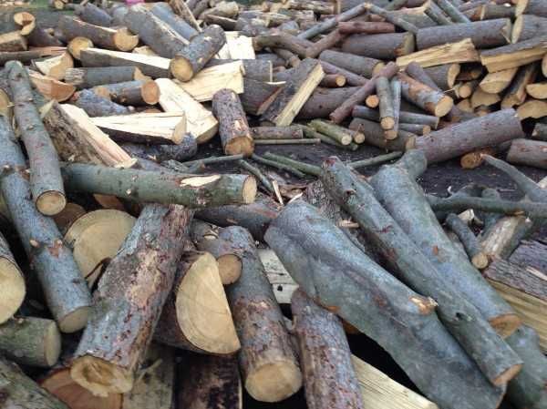 Дрова метрові граб бук береза осика оптом з доставкою Дрова колоті