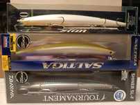 Amostras pesca spinning robalo
