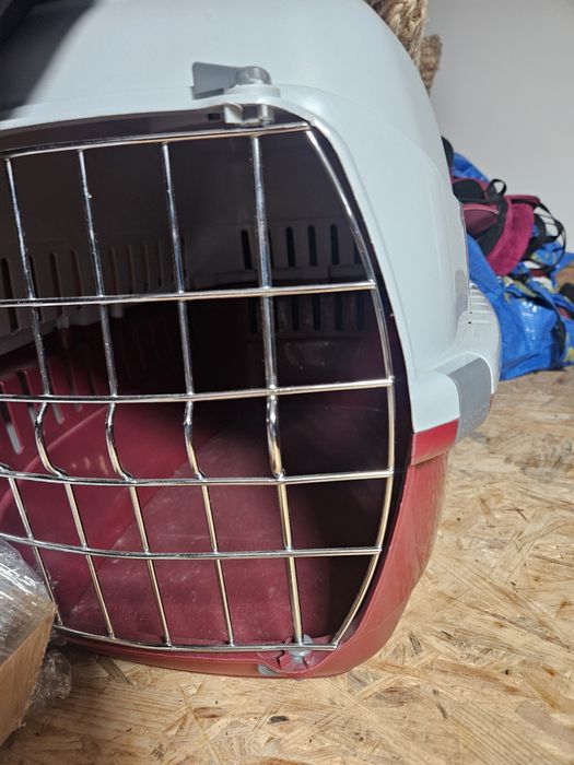 Transporter dla pupila