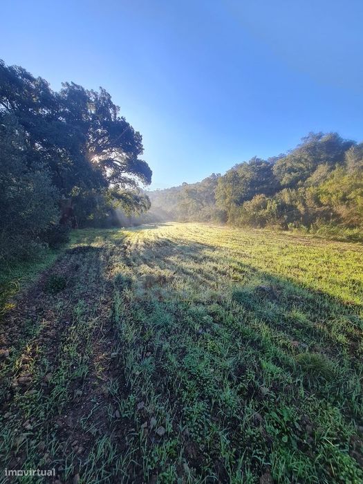 Maravilhoso Terreno Rústico Para Venda Com 41.600 M2 !!