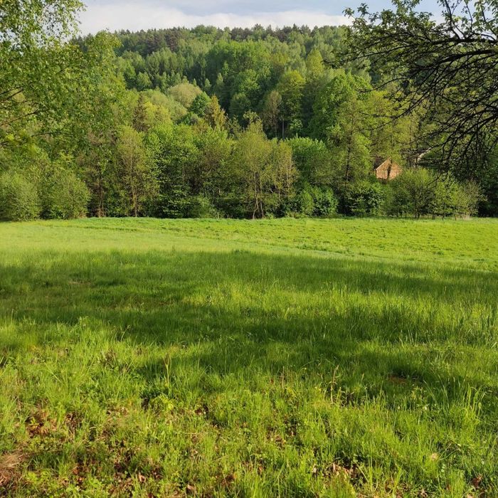 Działka budowlana 33,4 ar Pietrusza Wola