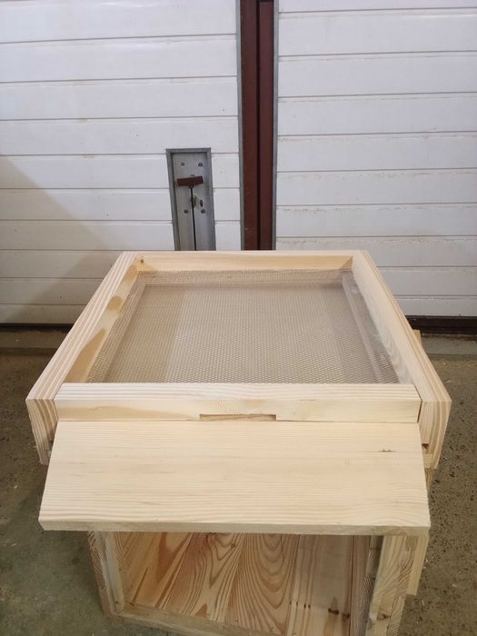 Ule/ Ul wielkopolski