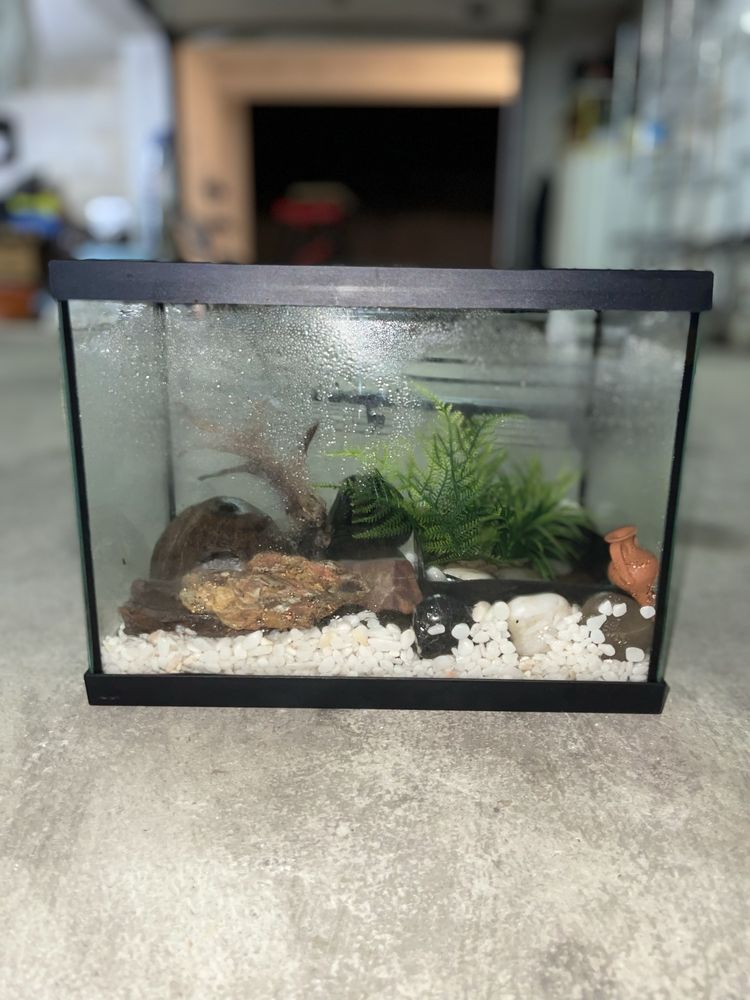 Aquário para peixe