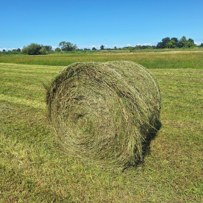 Sprzedam sianokiszonkę