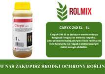 Caryx 240 SL - 1L