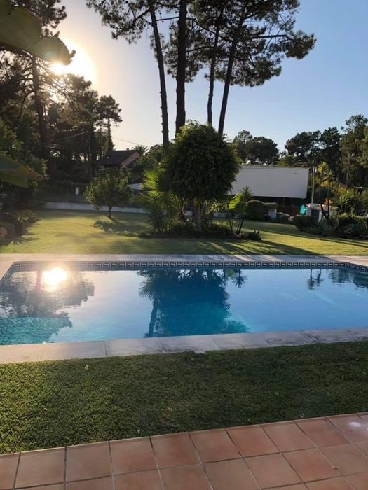 Jardineiro-Manutenção e remodelação de jardins e piscinas