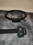 ring fit adventure