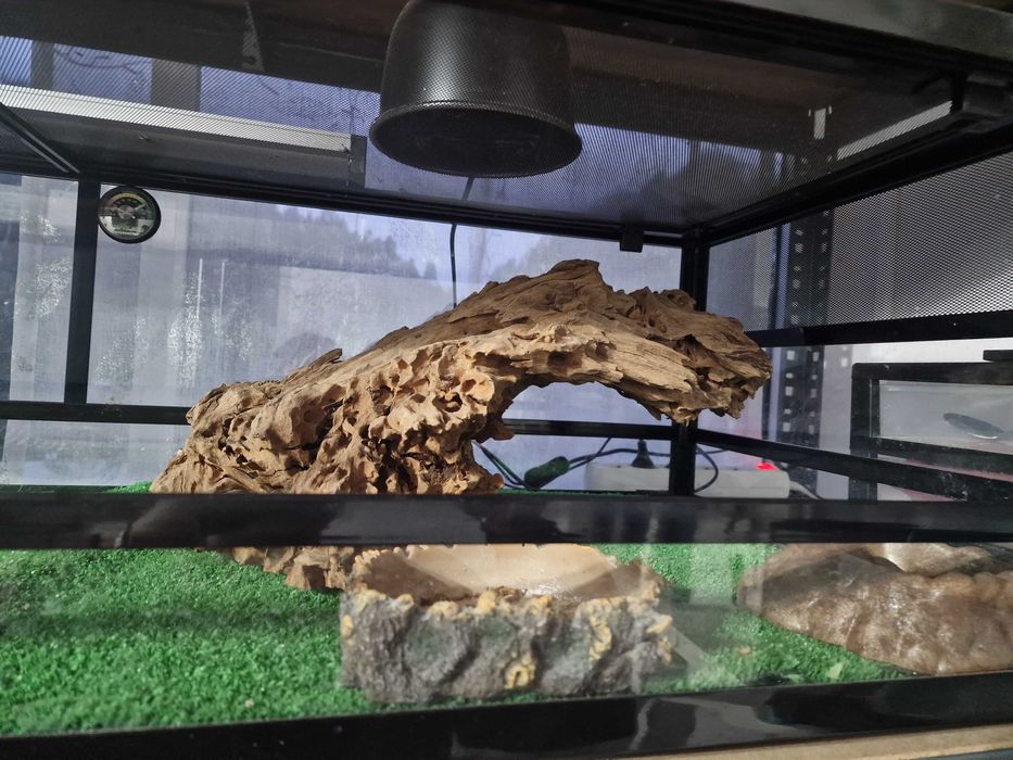 Vendo terrário répteis