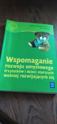 Wspomaganie rozwoju umysłowego trzylatków i dzieci starszych