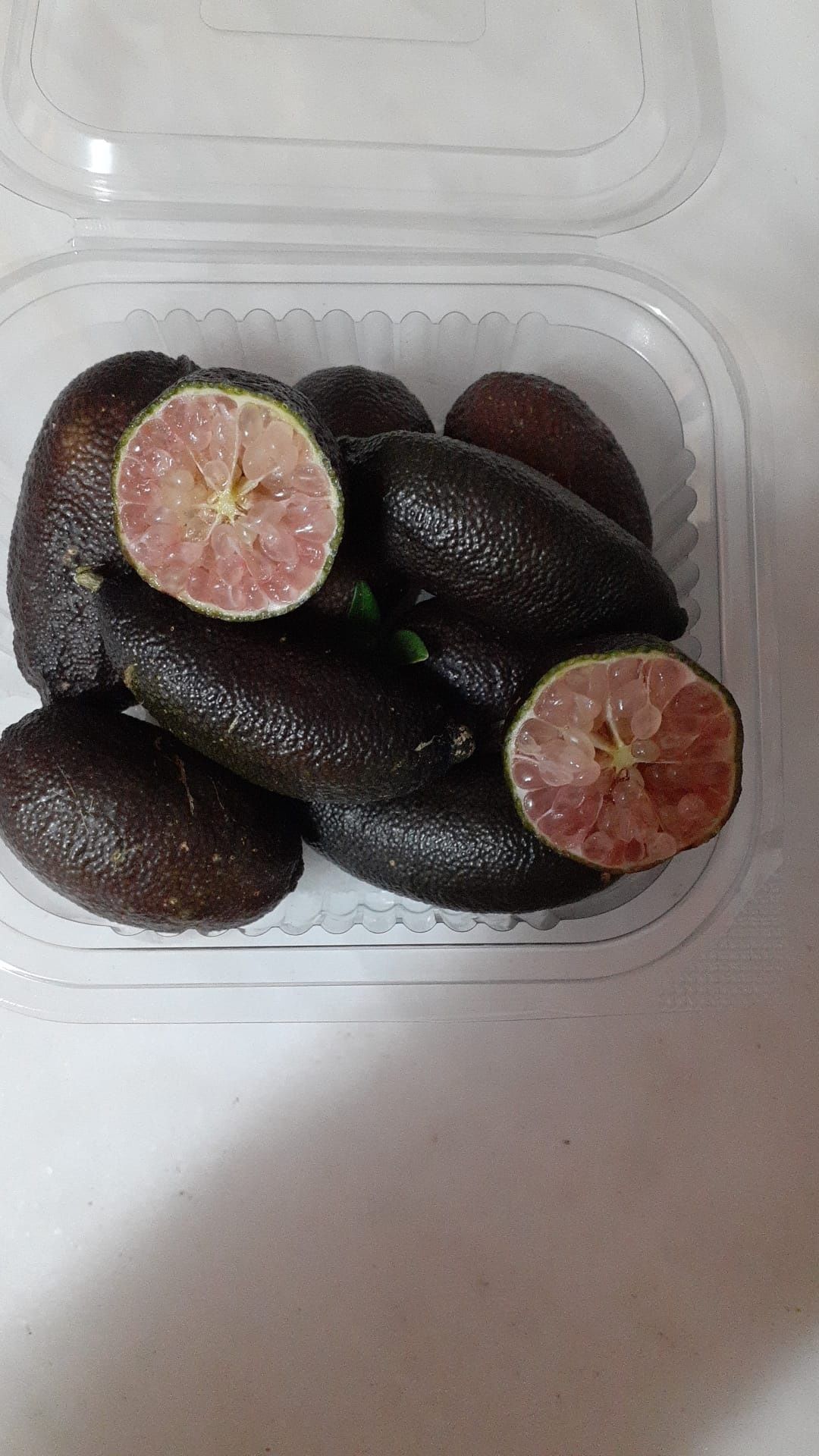 lima caviar congelado