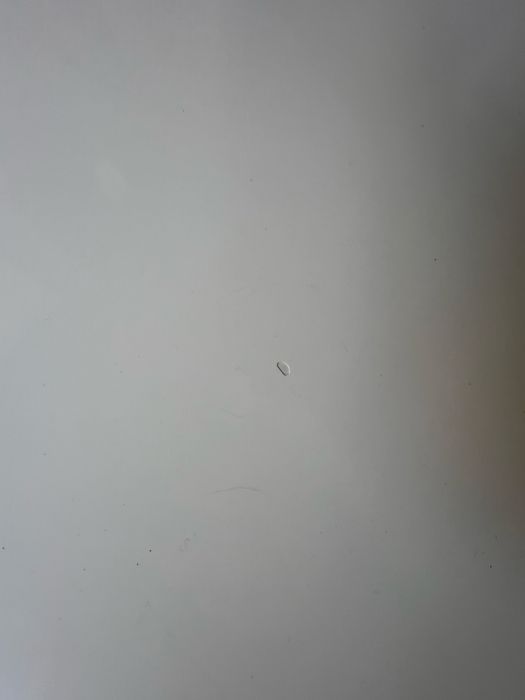 Stolik kawowy owalny