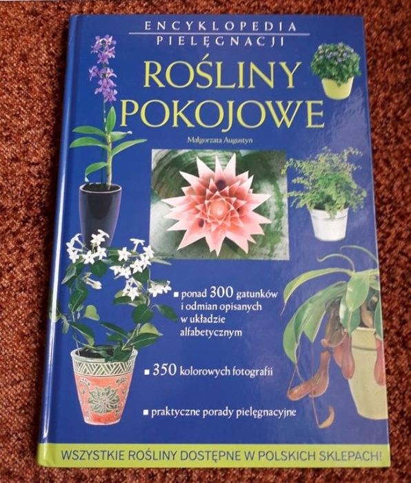 Rośliny pokojowe M.Augustyn