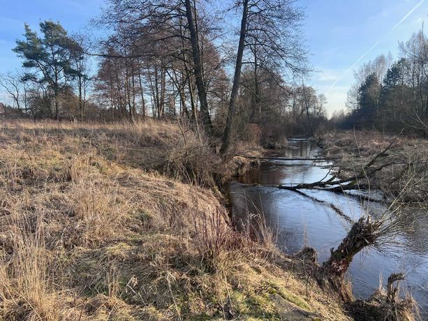 Działka budowlana 60 arów Barycz/Końskie strumyk w granicy