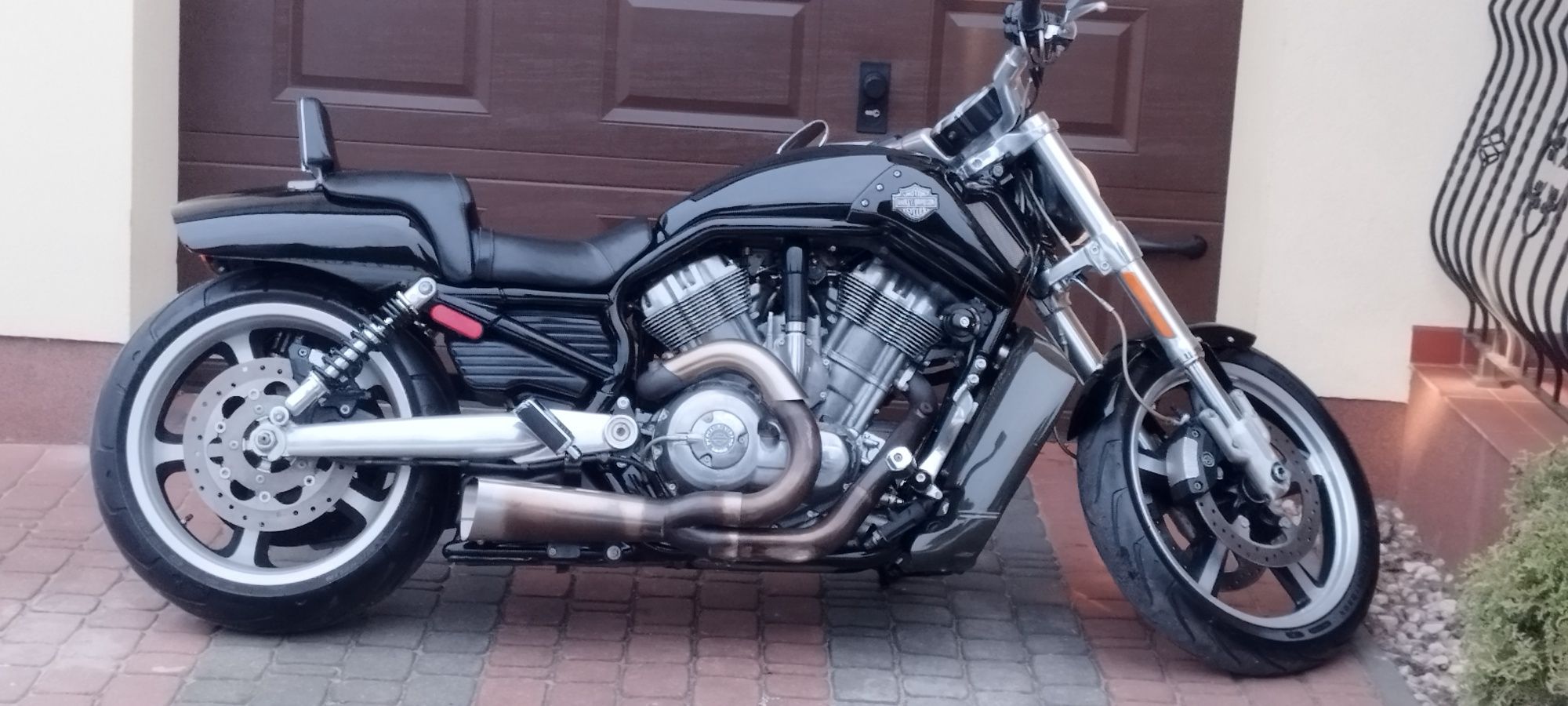 Harley-Davidson vrod muscle night rod