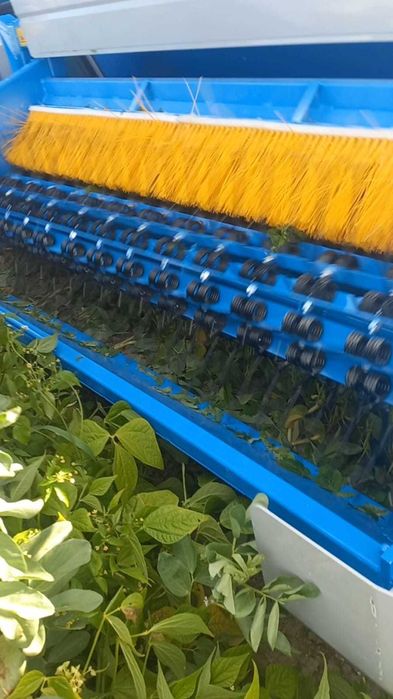 kombajn do fasolka szparagowa bób soja edamame FONTANA