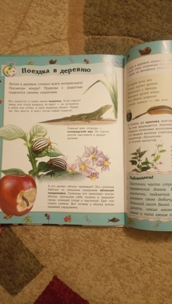 Энциклопедия дошкольника Природа