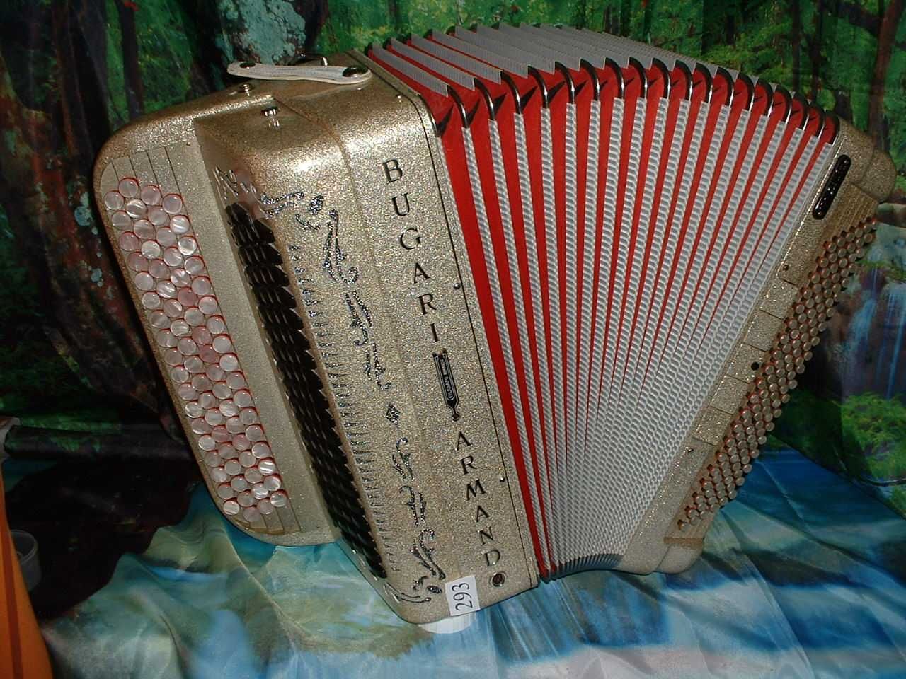 Acordeão em Promoção mes de Maio  G  n.293