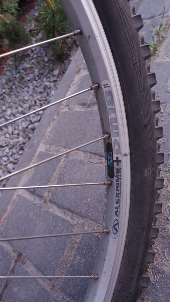 Rower Author Enduro Basic DSX